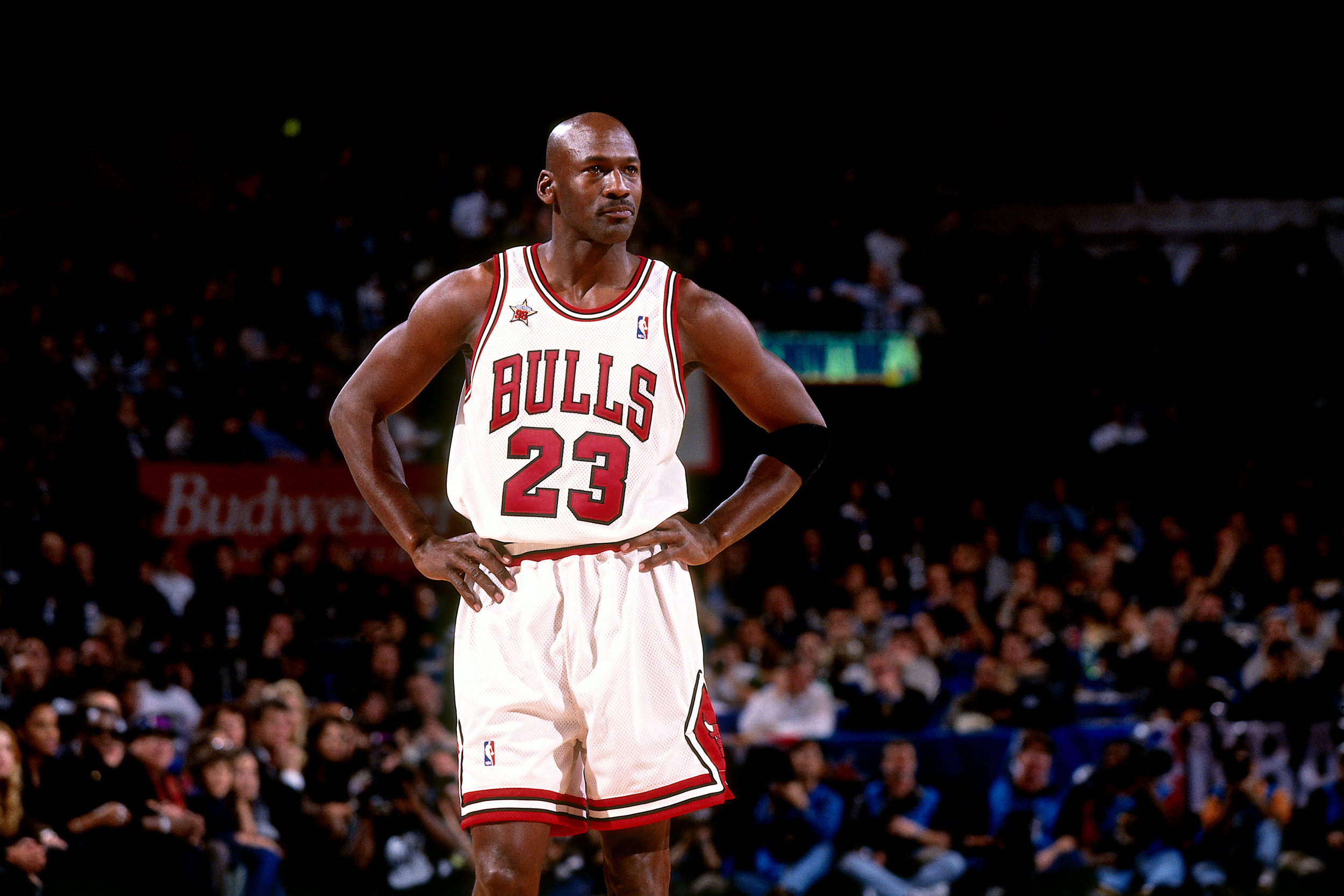 Michael Jordan Bulls