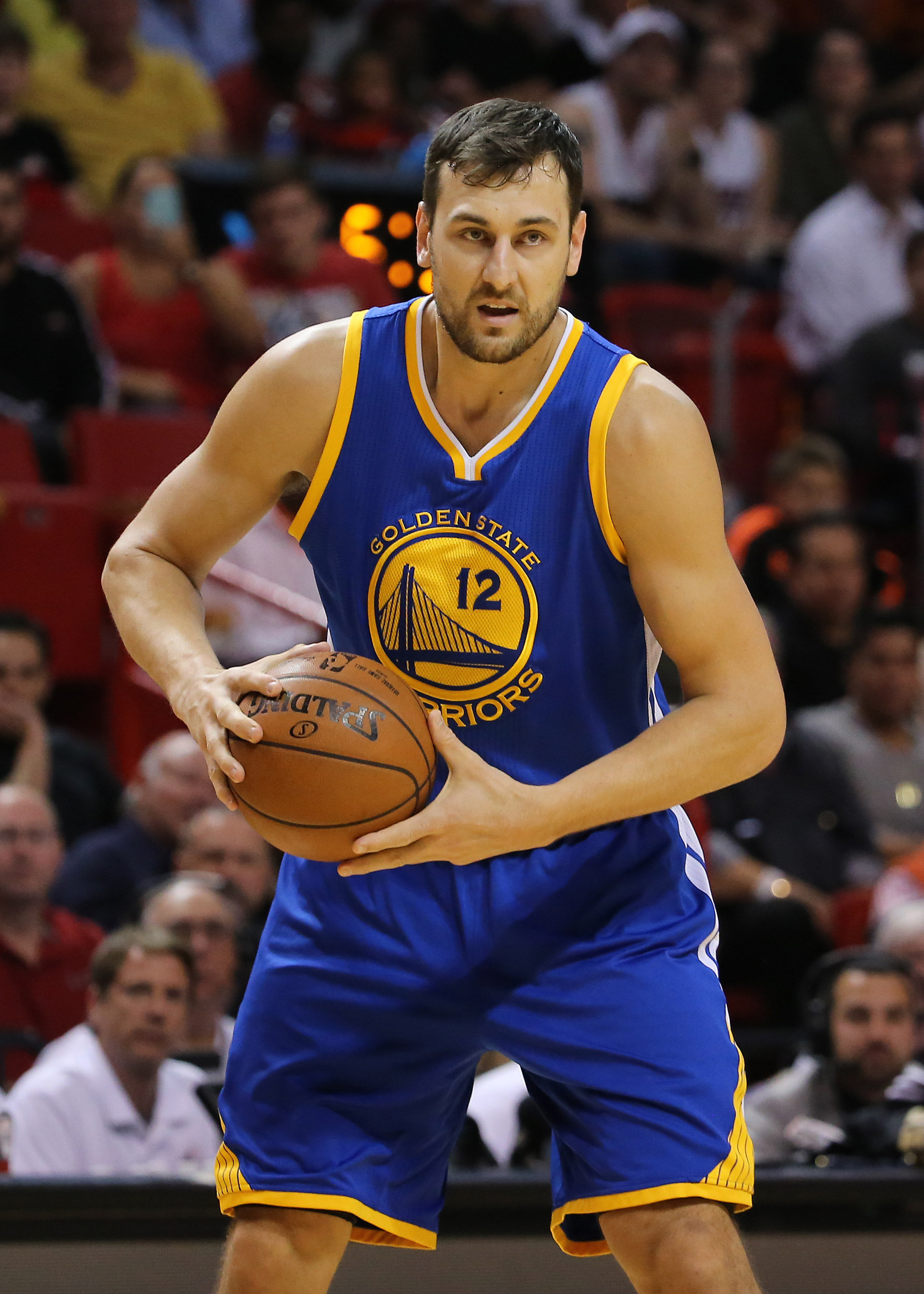 Andrew Bogut