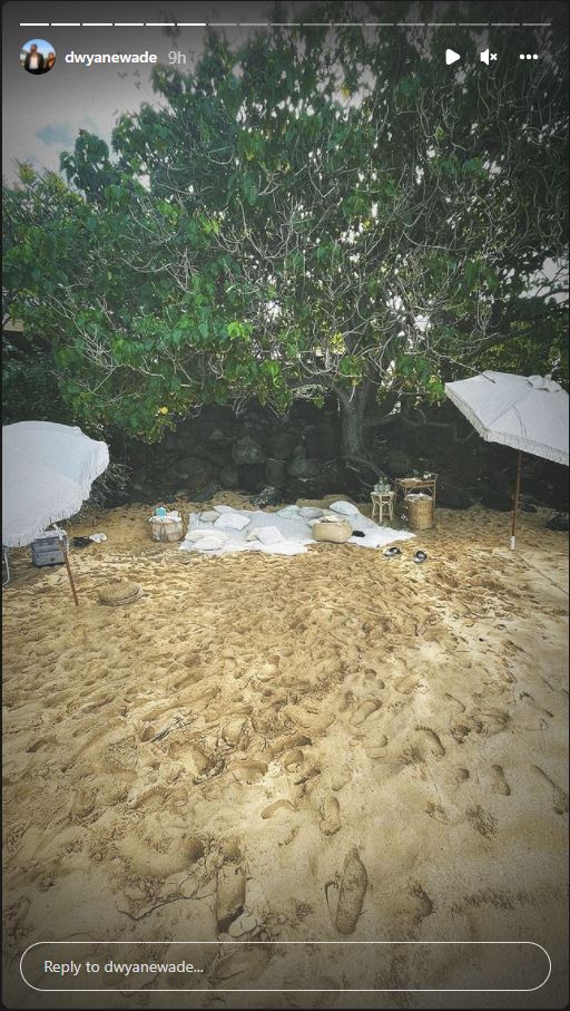 Credit: Dwyane Wade/Instagram