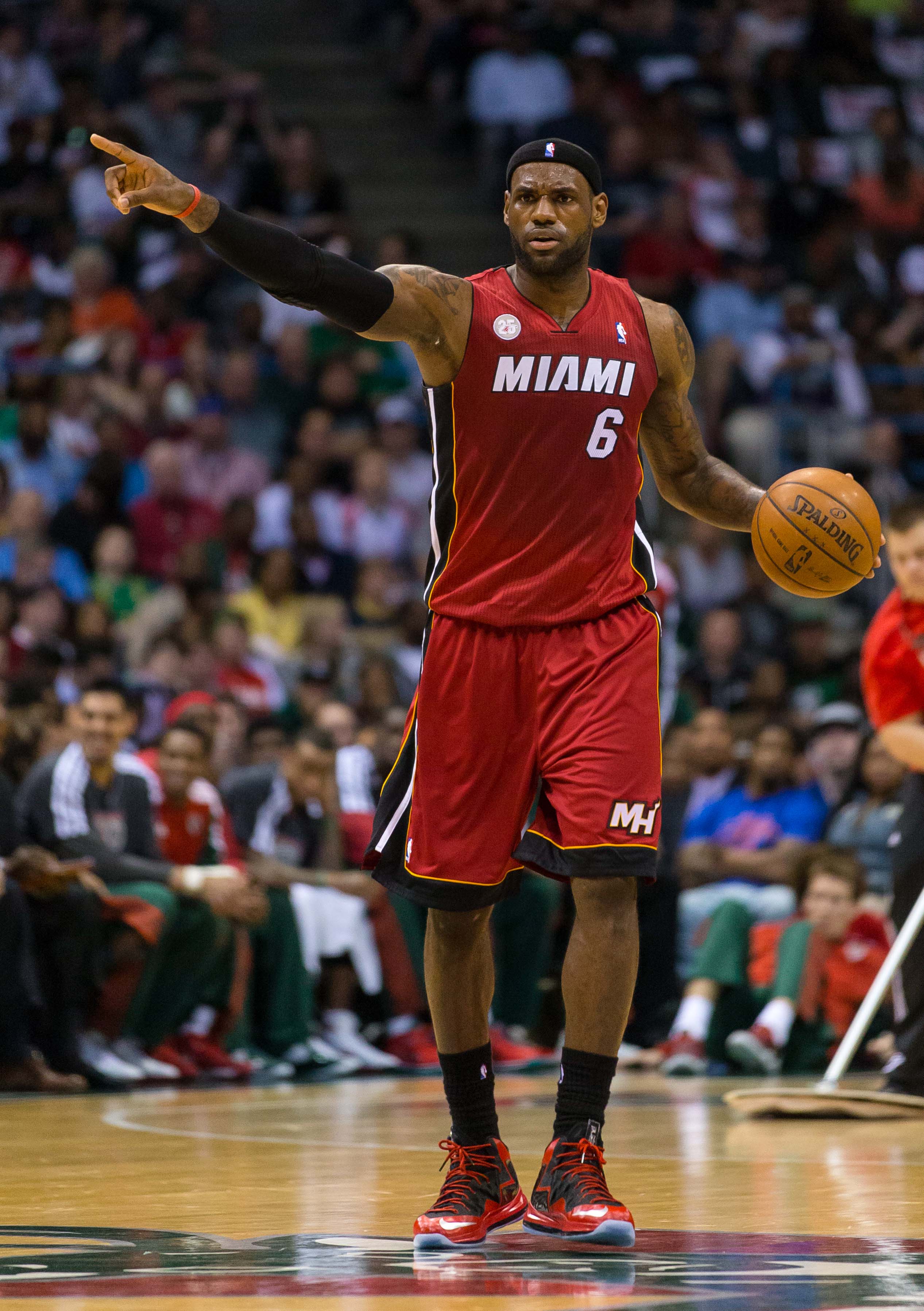 LeBron James 2013