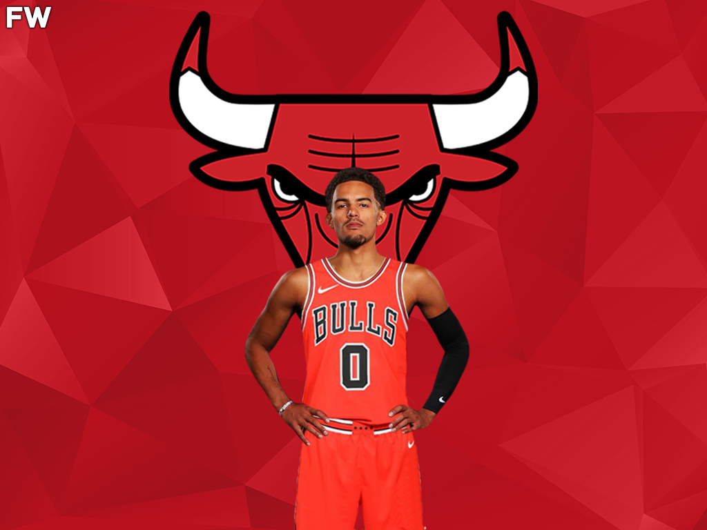 Trae Young Chicago Bulls