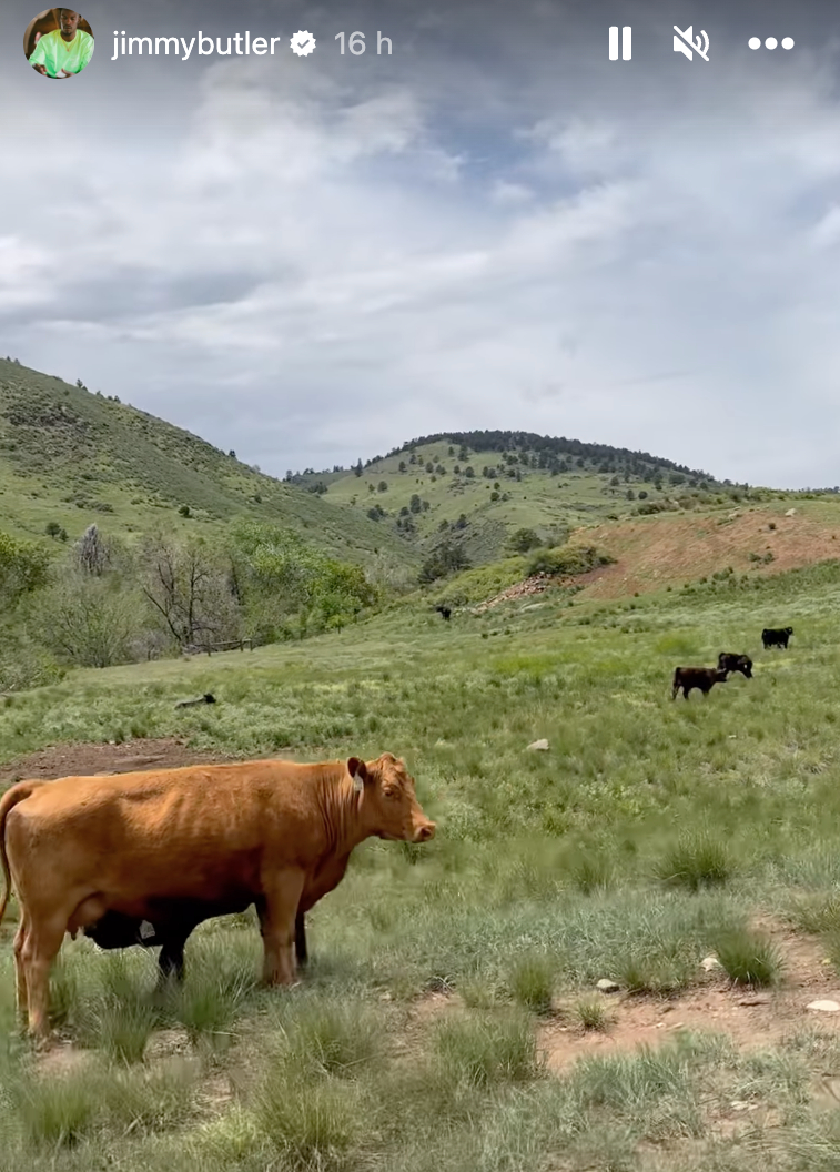 Screenshot 2023-06-03 at 5.48.13 PM