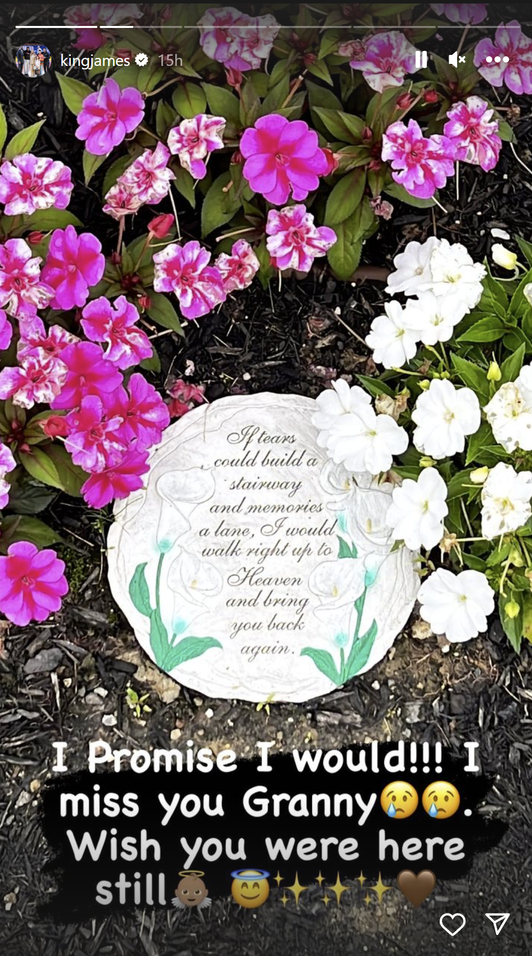 LeBron James Instagram