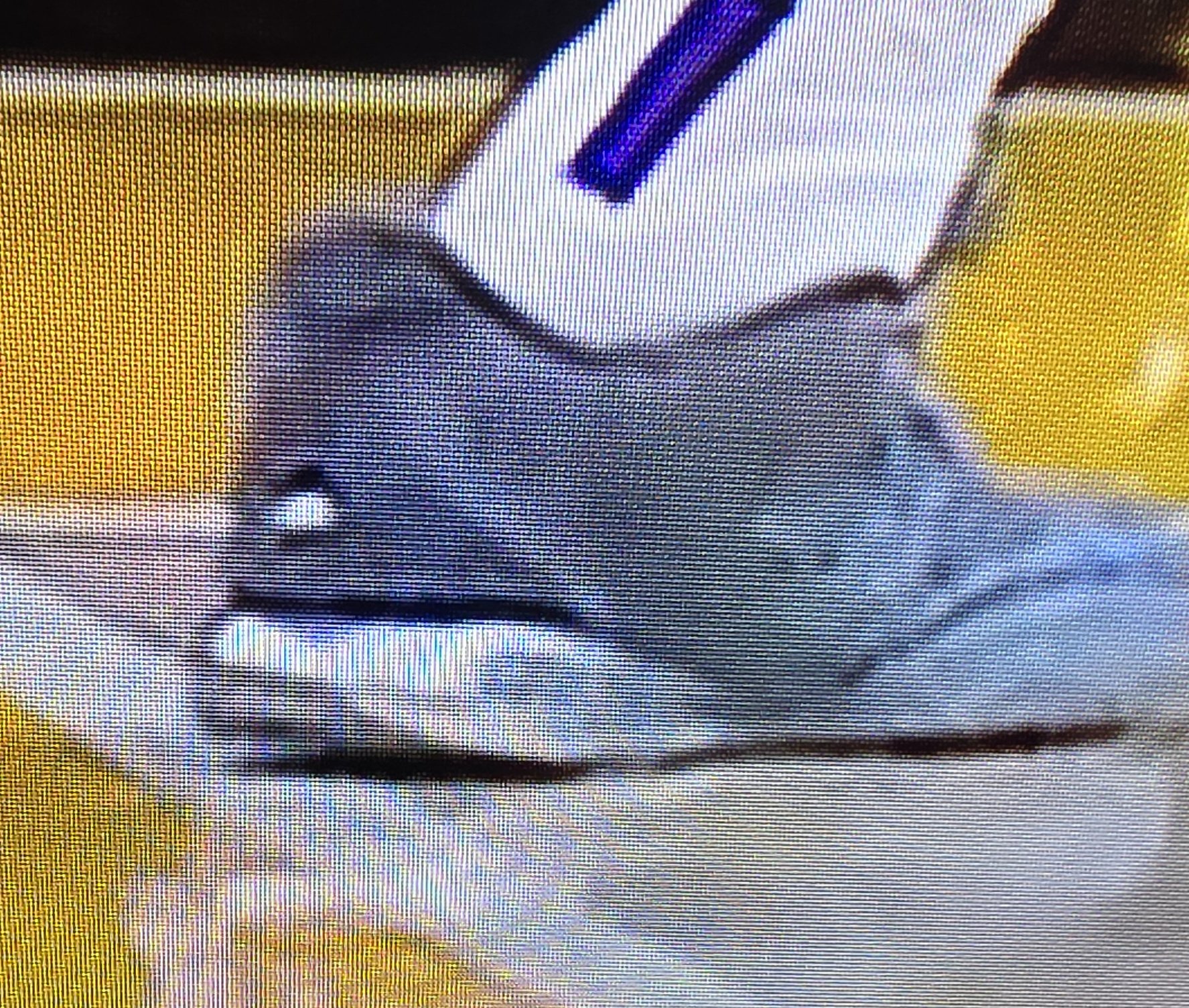 Picture Shows LeBron James Didn't Touch Out Of Bounds Line 