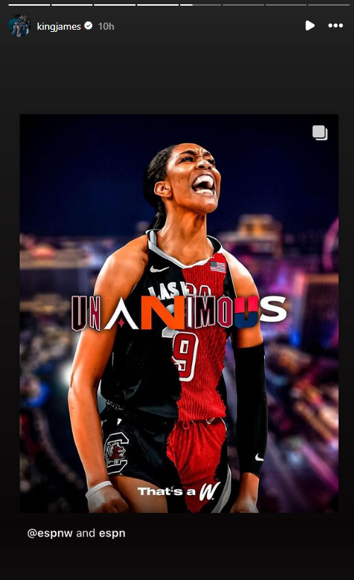 LeBron James A'ja Wilson Unanimous WNBA MVP
